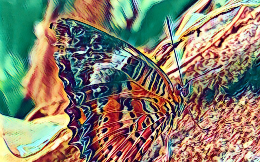The Wave Fixation – A Tribe of One
